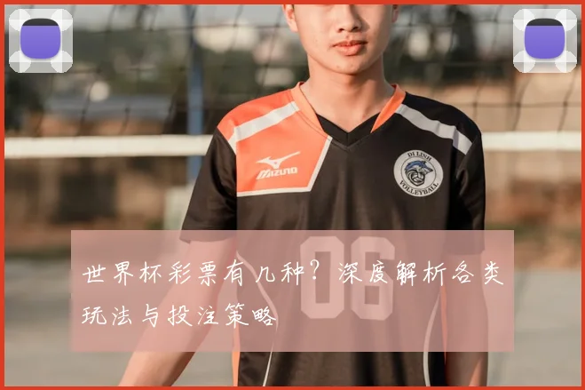 世界杯彩票有几种？深度解析各类玩法与投注策略