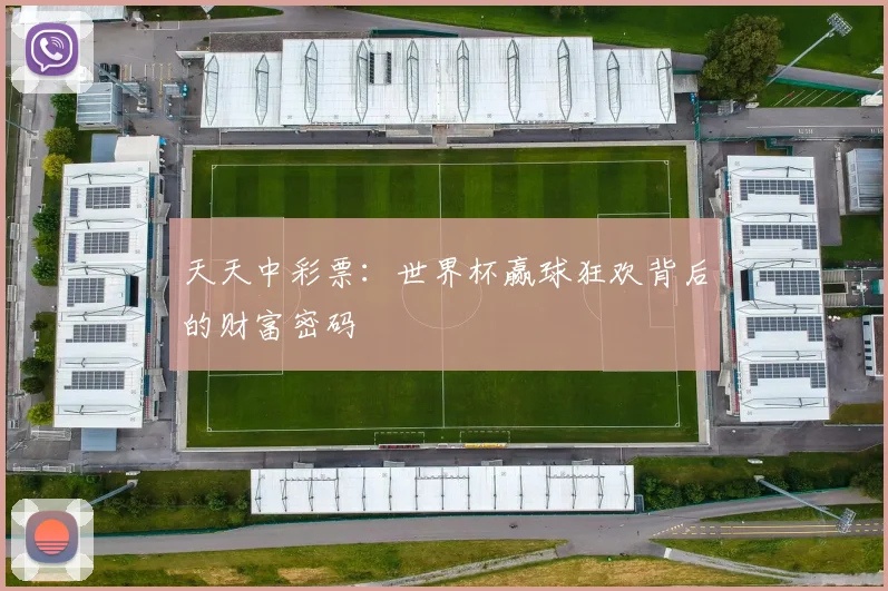 天天中彩票:世界杯赢球狂欢背后的财富密码