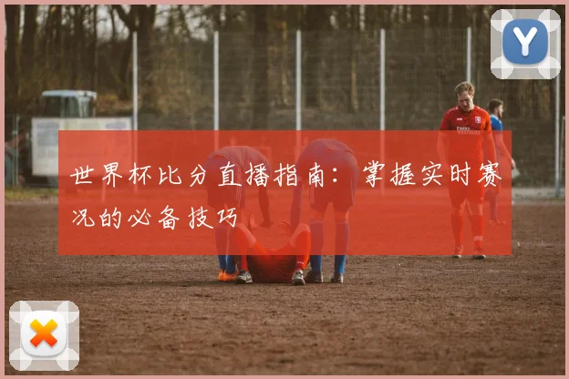 世界杯比分直播指南：掌握实时赛况的必备技巧