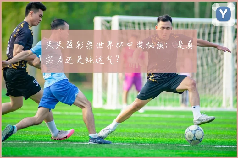 天天盈彩票世界杯中奖秘诀:是真实力还是纯运气?