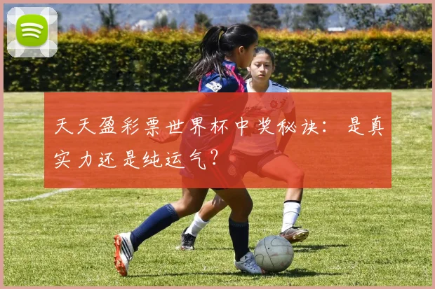 天天盈彩票世界杯中奖秘诀：是真实力还是纯运气？