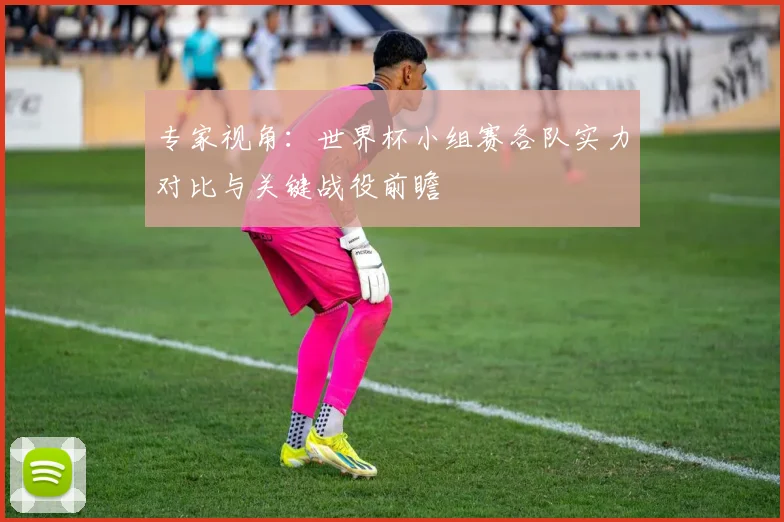 专家视角:世界杯小组赛各队实力对比与关键战役前瞻