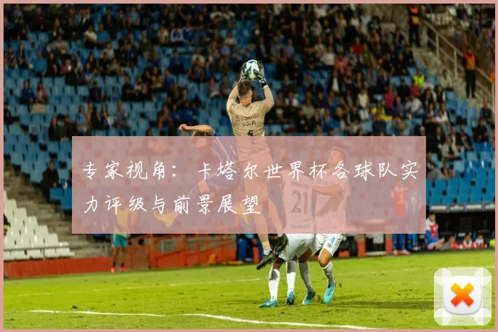 专家视角:卡塔尔世界杯各球队实力评级与前景展望