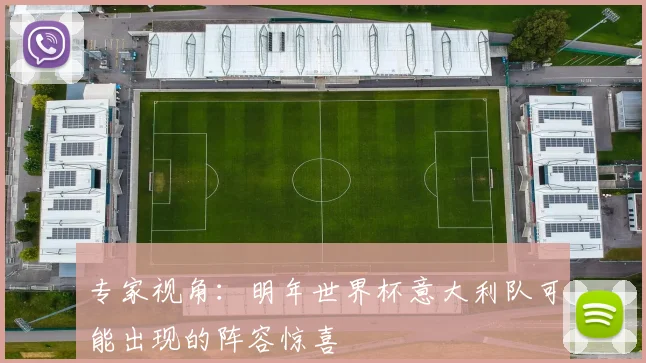 专家视角:明年世界杯意大利队可能出现的阵容惊喜