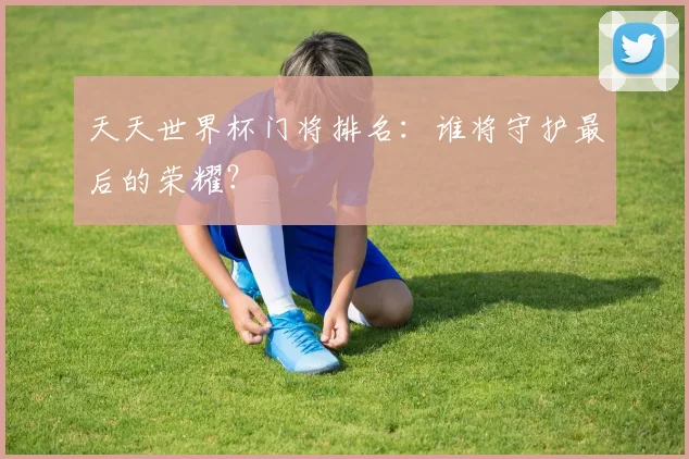 天天世界杯门将排名:谁将守护最后的荣耀?