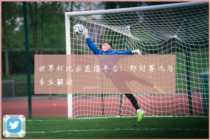 世界杯比分直播平台：即时赛况与专业解读